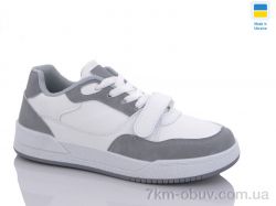 Swin 2468-2B фото