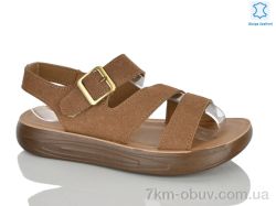 Lilin A109-9 фото
