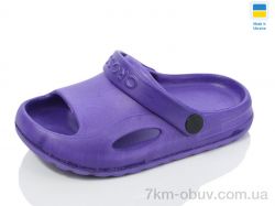 SANLIN 2 H9 бузок фото