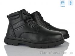 Nasite M1062-7C фото