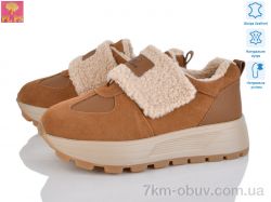 PLPS YJ687-2 фото