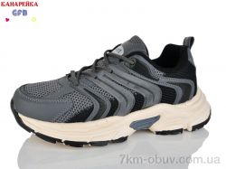 GFB-Канарейка Q570-5 фото