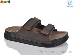 Sharif MS6000-12 фото