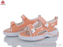 KIMBOO FG2342-3F фото