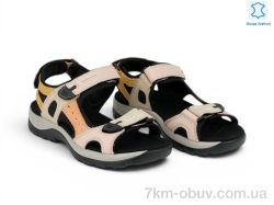 Allshoes 208359 фото