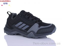 GFB-Канарейка R310-4 фото