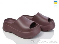 Golden Lion 141 шоколад фото