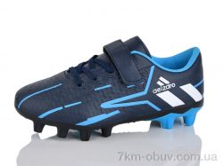 ASHIGULI C09-2 фото