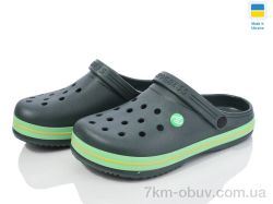 Golden Lion 224 зелений фото