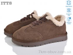 ITTS HY077-24 фото