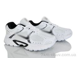 Ledicai M696-6 фото