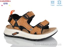 GFB-Канарейка S723-6 фото