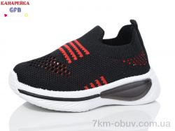 GFB-Канарейка Z6030-2 фото