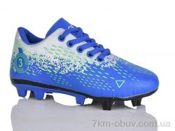 ASHIGULI C20-2 фото