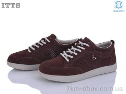ITTS P04-4 фото
