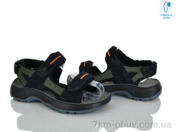 KIMBOO T65-3A фото