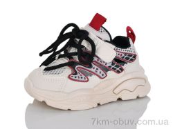 ASHIGULI 2049-1 фото