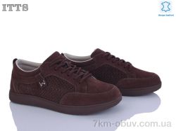 ITTS P04-5 фото
