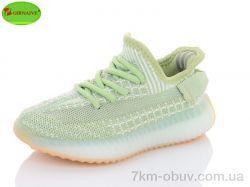 Girnaive CRT01-15 фото