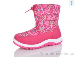 M&L  Alex13 526-2 фото