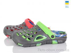 SANLIN 2 B308 папуга mix фото