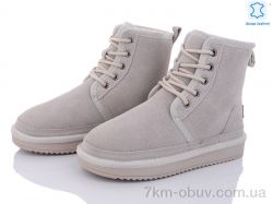 ITTS 5866-23 фото