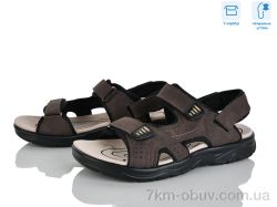 Hongquan F17-5 фото