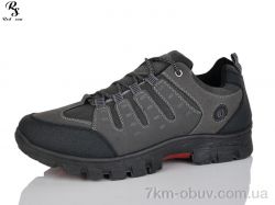 Red Sun FC305 grey фото