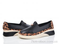 Loretta E501-7 фото