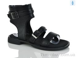 Loretta L071 фото