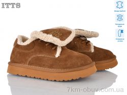 ITTS Q298-45 фото