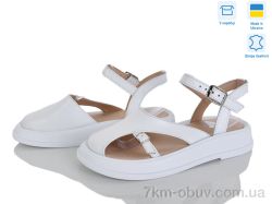 Ailinda 445-8 фото