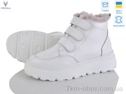 Viscala 27968 б.ш. L19б фото