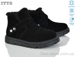 ITTS N055-1 фото