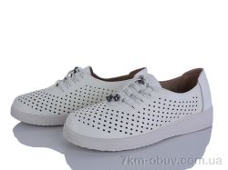 Lion-Lu 2024-24 фото