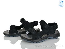 KIMBOO T65-4A фото