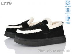 ITTS Q291-2 фото