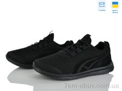 Paolla 3928MF чорний фото