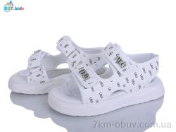 BBT L861-3-3 фото