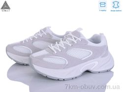 STILLI Group T60-1 шкіра фото