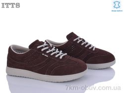 ITTS P02-4 фото