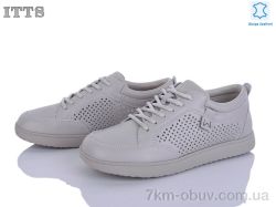 ITTS P04-8 фото
