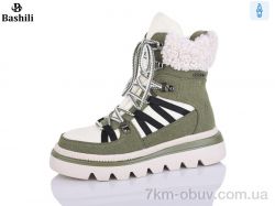 Башили E253-2 фото