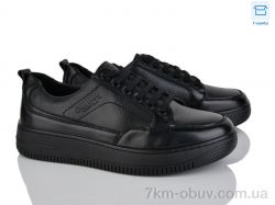 Svit D113-3C фото