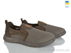 Paolla 3201 корич. фото