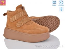 PLPS 6807-6 фото