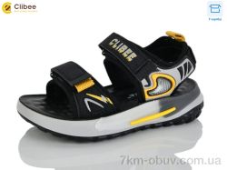 Clibee-Apawwa ZB2310-2 фото