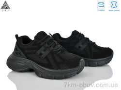 STILLI Group V40-1 шкіра фото