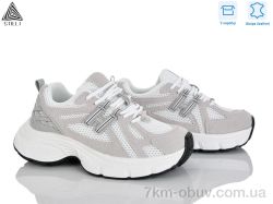 STILLI Group V40-2 шкіра фото