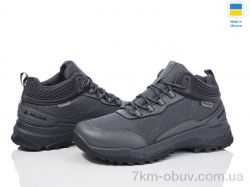 DeMur 3026DG сірий 2025 фото